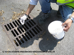 disinfestazione zanzare Roma